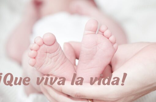 ¡Que viva la vida! del 4/11/2025
